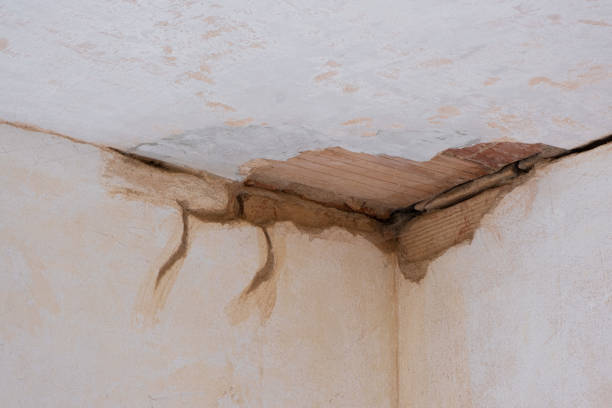 Best Mold removal after water damage  in Von Ormy, TX