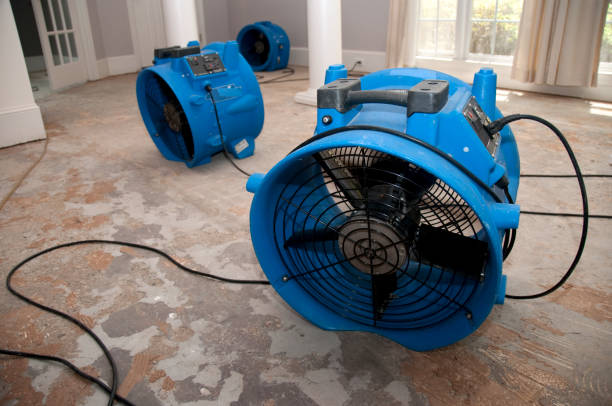 Best Flood damage cleanup  in Von Ormy, TX