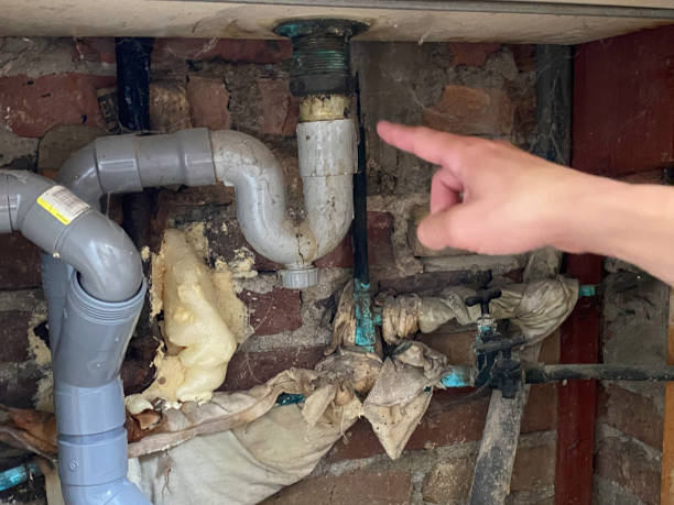 Best Local water damage restoration  in Von Ormy, TX